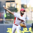 메디나인 이미지