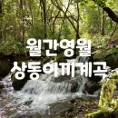 상동읍 대리골 입구(상동읍-20) | 월간영월 8월 상동이끼계곡 패키지 트레킹 강원도 여행 승우여행사