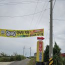 서천휴리조트펜션 칸딘스키동 | 서천숙소 휴리조트 펜션에서 대하파티 충남 대하맛집 새한수산