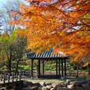전주구경하세요