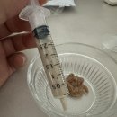 봉식동물병원 이미지