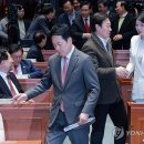 장동혁 카카오 검색결과