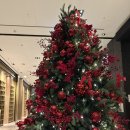 리버뷰 | 여의도 콘래드 서울 호캉스 디럭스킹 리버뷰 솔직후기