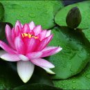 미림상사 티스토리