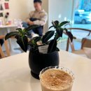 밀담소