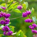 중구농협 이미지