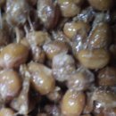 선하식품 이미지