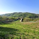 산성길64(신록, 26/04/18, 동문-남옹성-남단사-동문, Flaming Star) 이미지
