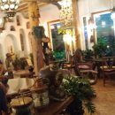 쉐이리코타키나 이미지