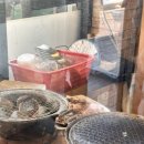 접시골 | 양평 맛집 접시골 갈비냉면 만두전골 솔직후기