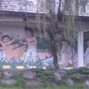 황금오리 이미지