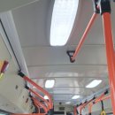 한국체육대학교(도서관앞) 이미지