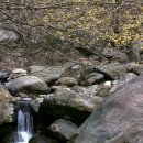 목련주유소 이미지