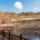 전월산 누리길 네이버블로그