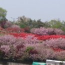 완산-8 이미지