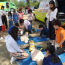 조성초교 이미지