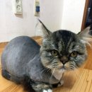 이화해변아파트 이미지