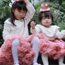 천상인터내셔날 이미지