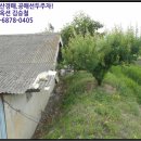 금혁천 네이버블로그