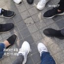 비산사거리분수대 | 평촌 손품 및 임장후기(2023.4.1)