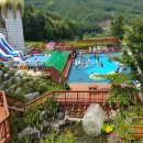 숲속의평창 이미지