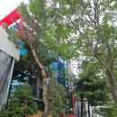 산업로92번길 이미지