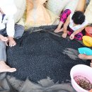 정성보따리 이미지