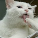 그루밍온 이미지