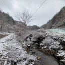 노루목농장 이미지