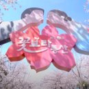 꽃보라동산 이미지