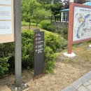 궁남지 서동문화관 화장실 | 부여 강아지산책 궁남지 애견동반가능한 공원 부여 가볼만한곳 주차 입장료 무료
