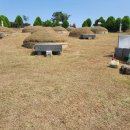 #벌초전주 #벌초완주 #벌초완산 #벌초대행을 가족같는마음으로진행 진심과 정성으로 다하여 임합니다 *********** 이미지