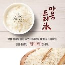 백일정미소