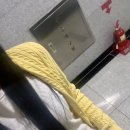 뽀송이네 목욕탕 이미지