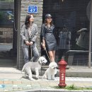 미스스튜디오 이미지