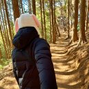 폴짝폴짝 이야기 숲 이미지