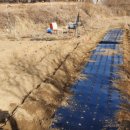 새참농장 이미지