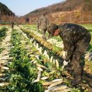 공군 제17전투비행단 네이버블로그