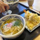 우동분 | 아사쿠사 센소지 수타 우동 맛집 카노야 메뉴 웨이팅 후기