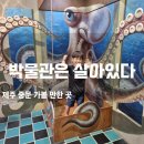 박물관은살아있다 | 제주도아이와여행 박물관은 살아있다 &amp; 런닝맨 제주점 후기! 중문 필수 코스!