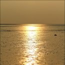 금빛바다 이미지