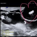 곱분이곱창신장점 이미지