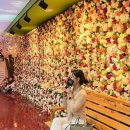 가든뽑기방 | [제주도/애월] 애월실내가볼만한곳 &lt;아이바가든&gt; 제주 실내 관광지 제주도 데이트