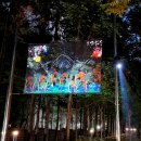 대덕대로 이미지