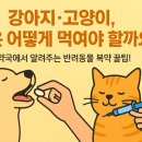 지웰호랑이약국 이미지