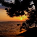 햇빛촌농장1 이미지