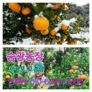승광농장 네이버블로그