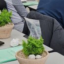 [주말]힐링 원예테라피 이미지