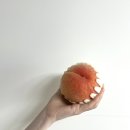 대황농장 이미지