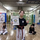 연세파워태권도 이미지